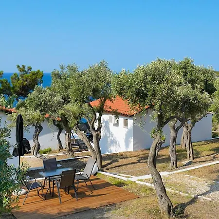 Acroterra - Easy Living 3*