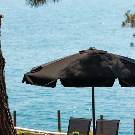 Acroterra - Easy Living 3*