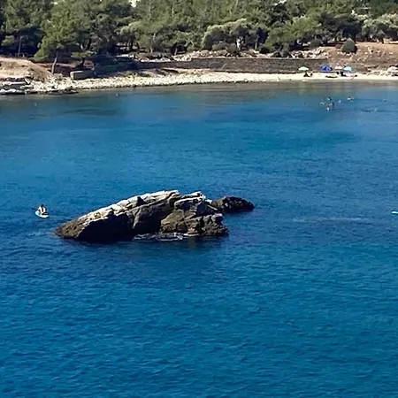 Acroterra - Easy Living