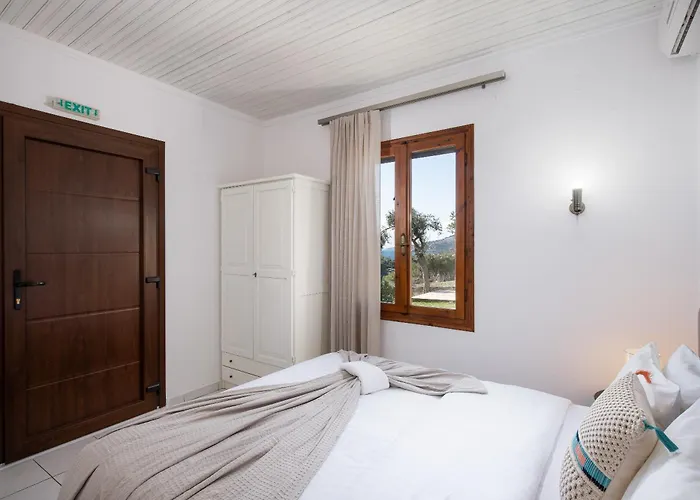 Acroterra - Easy Living