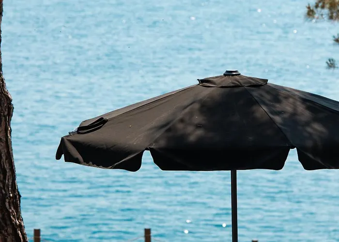 Acroterra - Easy Living 3*